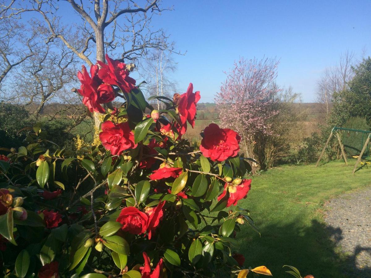 Chambre Des Anges & Roulotte Proche Mont Saint-Michel, L'Angeviniere Bed and Breakfast Εξωτερικό φωτογραφία